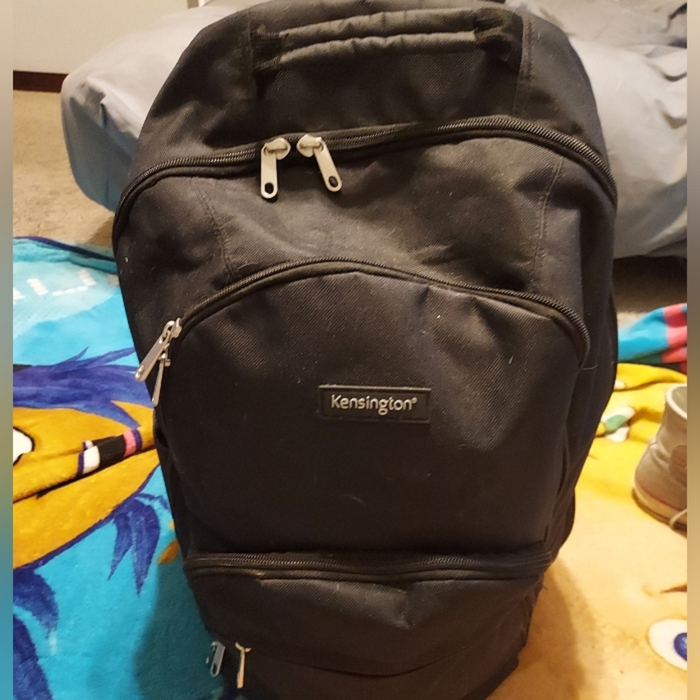 Backpack - Picture 2 of 3